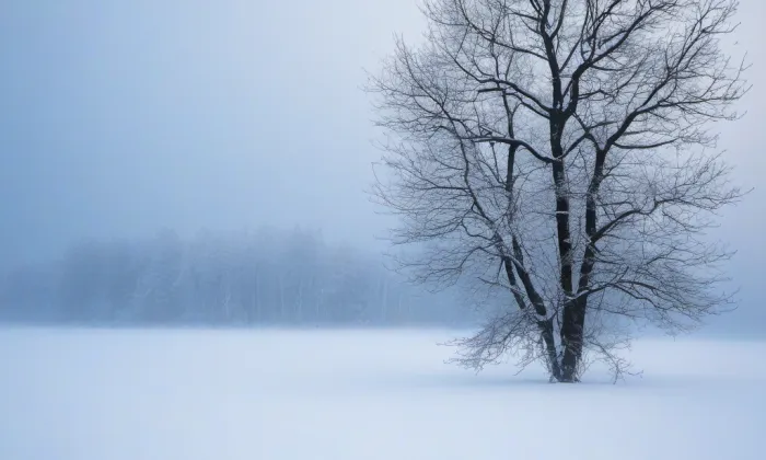Kostel svatých Petra a Pavla v Mimoni – winter
