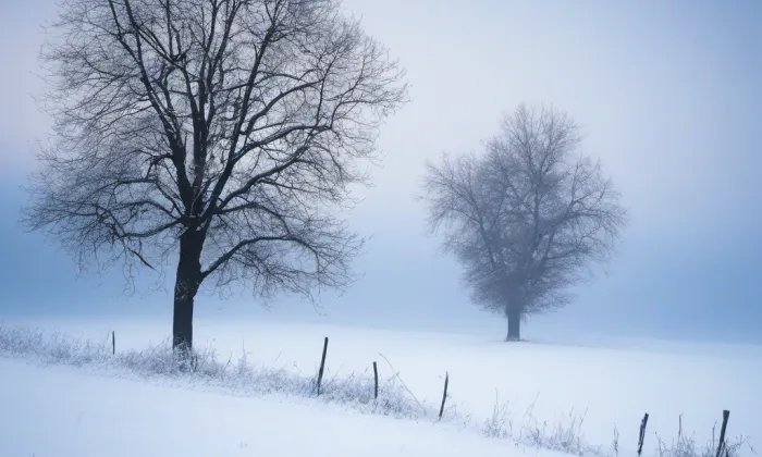 Kostel svatého Šimona a Judy (Lenešice) – winter