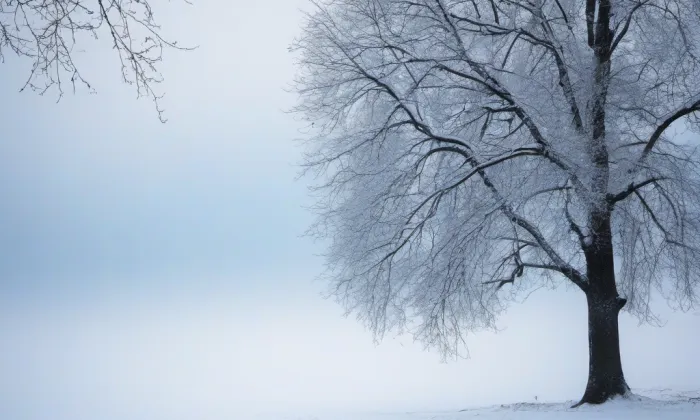kostel svatého Šimona a Judy (Roseč) – winter