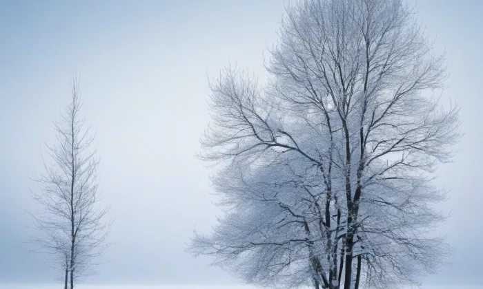 Kostel svatého Štěpána (Mýto) – winter