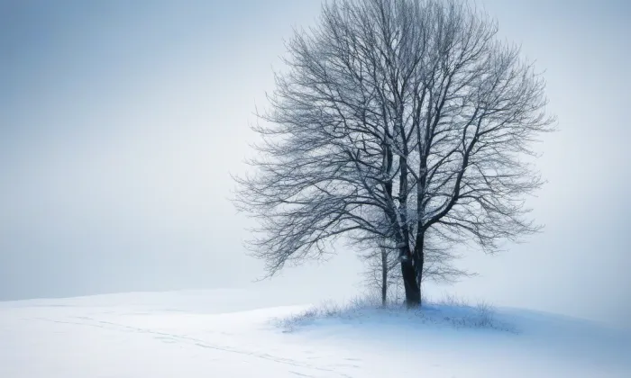 Kostel svatého Štěpána v Praze – winter