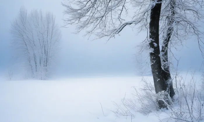 kostel svatého Aloise (Velká Morava) – winter
