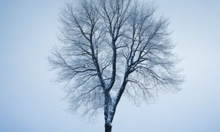 Kostel svatého Antonína Paduánského (Třeština) – winter