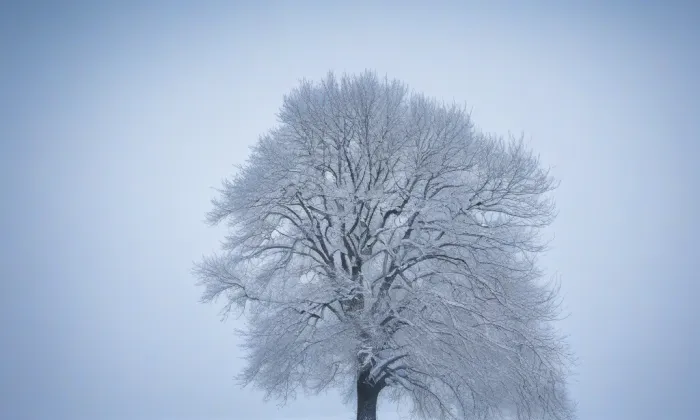 Kostel svatého Antonína Paduánského (Melč) – winter