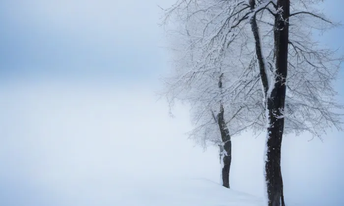 Kostel svatého Antonína Paduánského (Tvrdkov) – winter