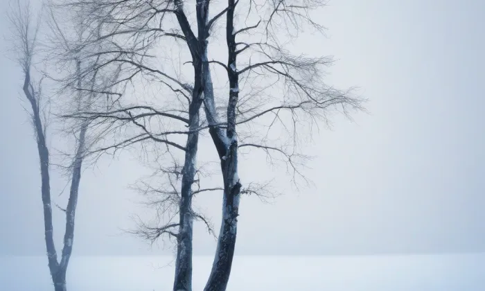 kostel svatého Antonína Paduánského v Holešovicích – winter