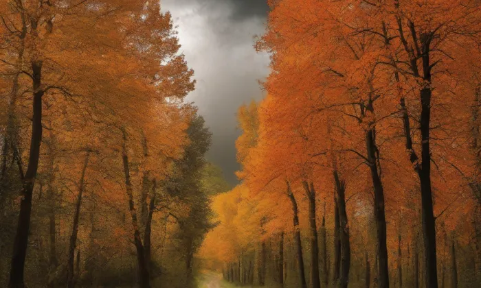 kostel svatého Antonína Velikého – autumn