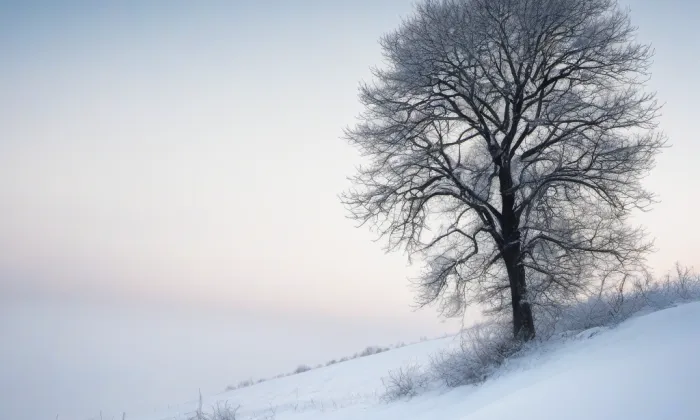 kostel svatého Antonína Velikého – winter