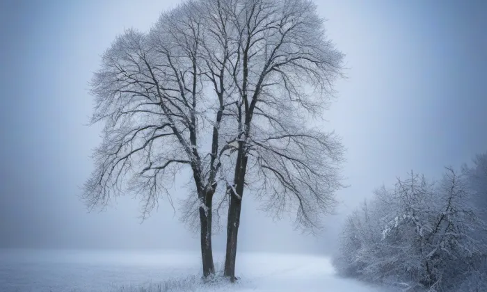 Kostel svatého Augustina (Sovinec) – winter