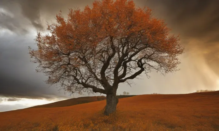 Kostel svatého Bartoloměje (Březí) – autumn
