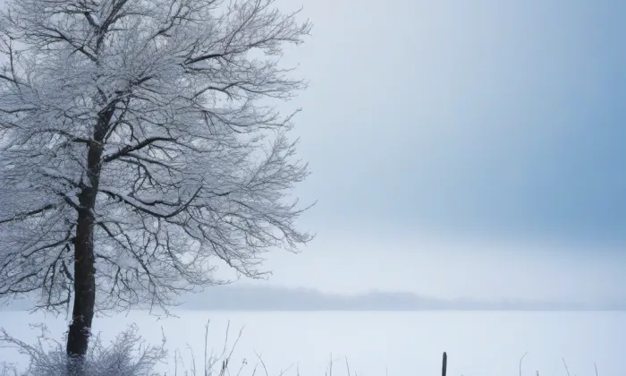 Kostel svatého Bartoloměje (Březí) – winter
