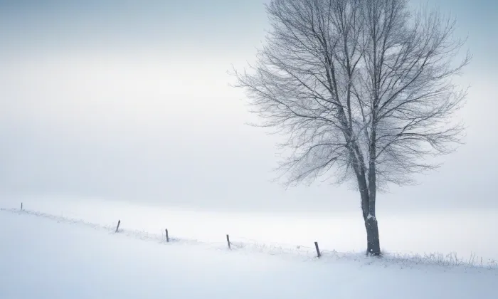 Kostel svatého Bartoloměje (Batňovice) – winter