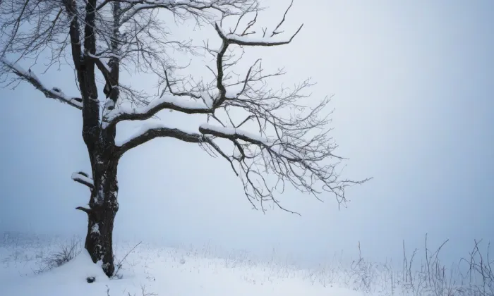 kostel svatého Bartoloměje (Brada) – winter