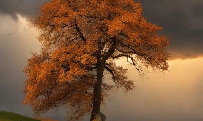 Kostel svatého Bartoloměje (Bystré) – autumn