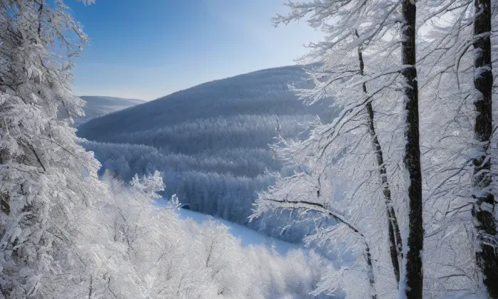 Kostel svatého Bartoloměje (Chodovice) – winter