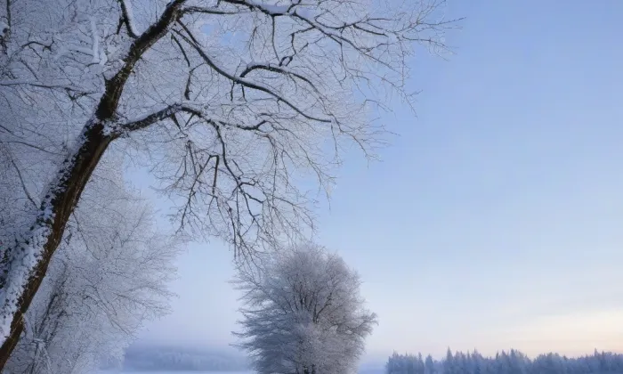 kostel svatého Bartoloměje (Hlohovec) – winter
