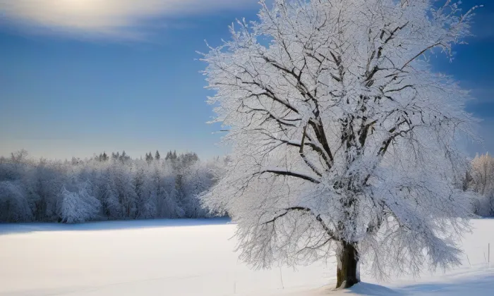 Kostel svatého Bartoloměje (Holedeček) – winter