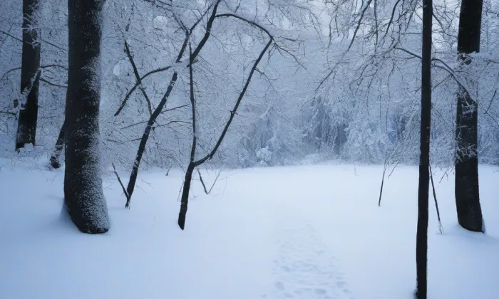 kostel svatého Bartoloměje (Hostouň) – winter
