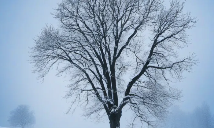 kostel svatého Bartoloměje (Ivaň) – winter