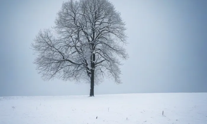 Kostel svatého Bartoloměje (Kopřivnice) – winter