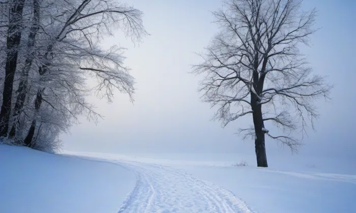 Kostel svatého Bartoloměje (Lípa) – winter