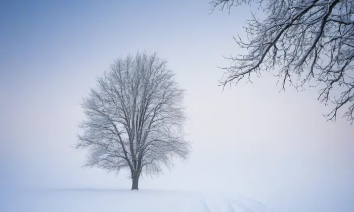 Kostel svatého Bartoloměje (Nečemice) – winter