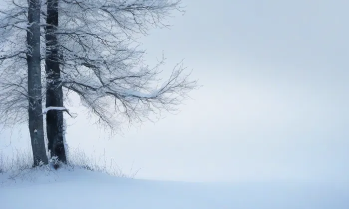 Kostel svatého Bartoloměje (Nová Ves) – winter