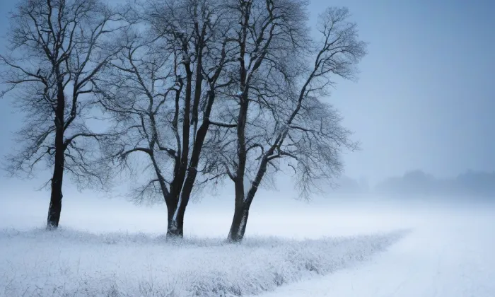 Kostel svatého Bartoloměje (Přílezy) – winter