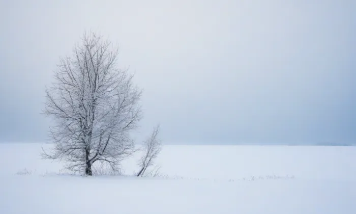 Kostel svatého Bartoloměje (Pardubice-Staré Město) – winter
