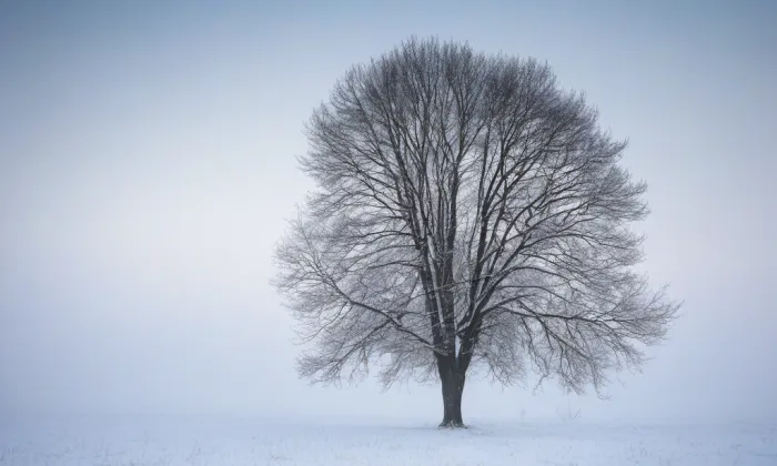 Kostel svatého Bartoloměje (Siřejovice) – winter