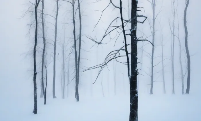 Kostel svatého Bartoloměje (Smolnice) – winter