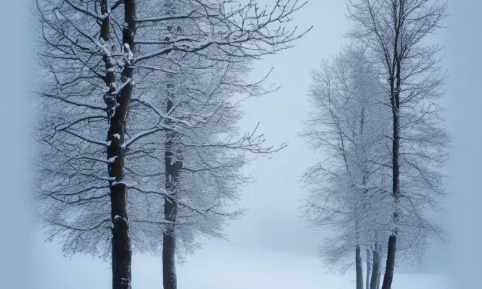 Kostel svatého Bartoloměje (Spořice) – winter