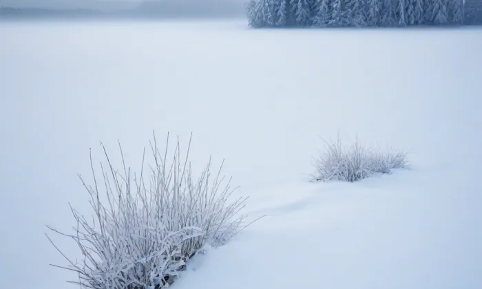 Kostel svatého Bartoloměje (Studénka) – winter