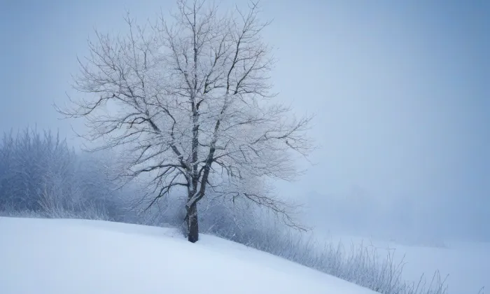 Kostel svatého Bartoloměje (Trhový Štěpánov) – winter