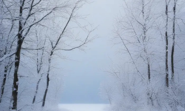 Kostel svatého Bartoloměje (Vráž) – winter