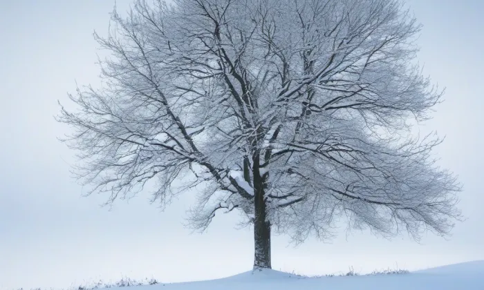 kostel svatého Bartoloměje v Mochově – winter