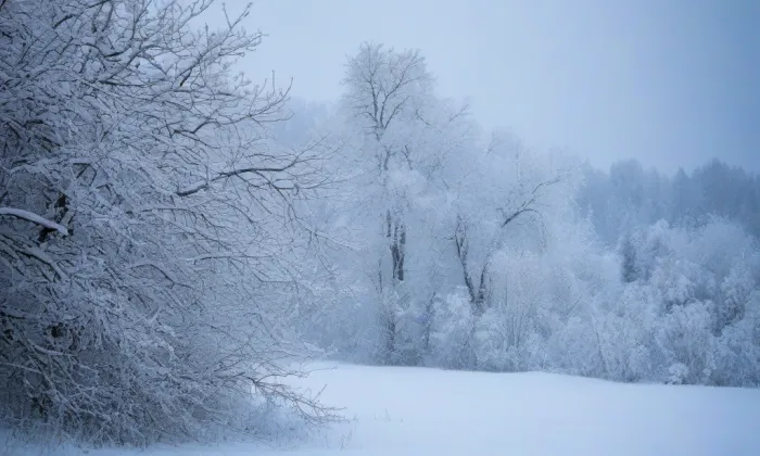 Kostel svatého Benedikta (Praha) – winter