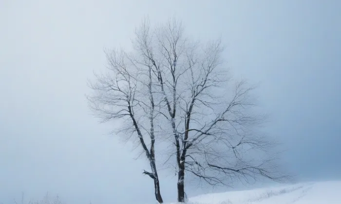 kostel svatého Cyrila a Metoděje (Židenice) – winter