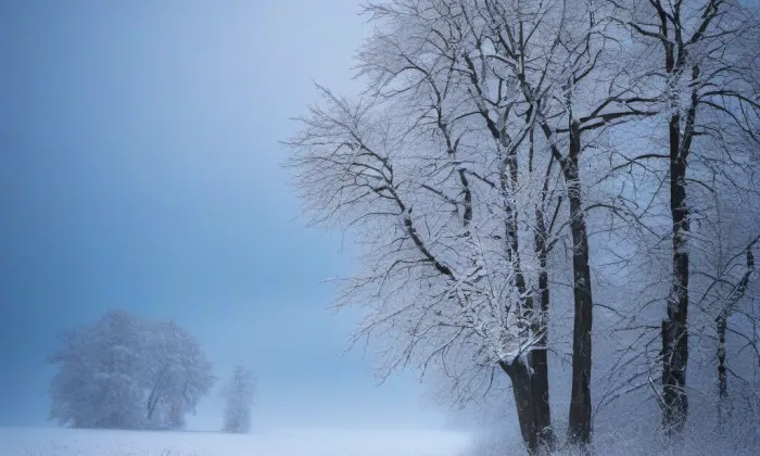 kostel svatého Cyrila a Metoděje (Rybníky) – winter