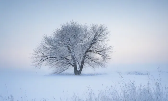 Kostel svatého Ducha (Rýnovice) – winter