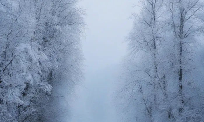 Kostel svatého Erharda – winter