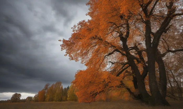 Kostel svatého Filipa a Jakuba (Velešín) – autumn