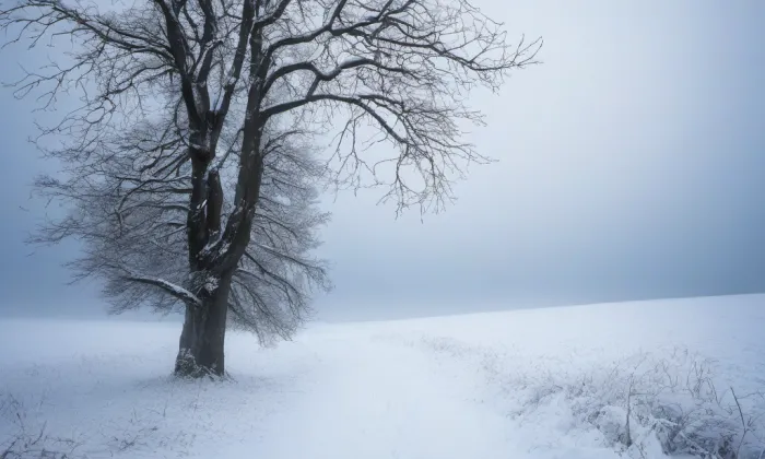 Kostel svatého Filipa a Jakuba (Velešín) – winter