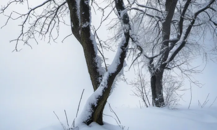 kostel svatého Filipa a Jakuba ve Zlíně – winter