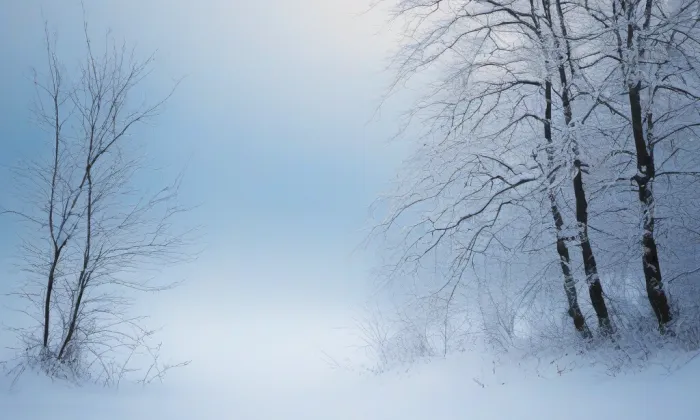 Kostel svatého Floriána (Staré Lublice) – winter
