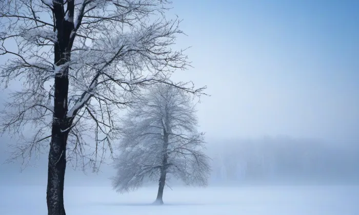 kostel svatého Františka z Assisi (Mikulov) – winter