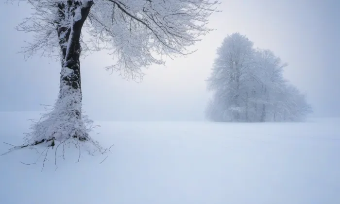 Kostel svatého Františka z Assisi v Praze-Chodově – winter