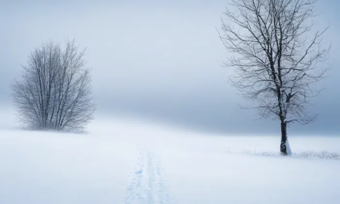 Kostel svatého Františka z Assisi ve Starém Kníně – winter