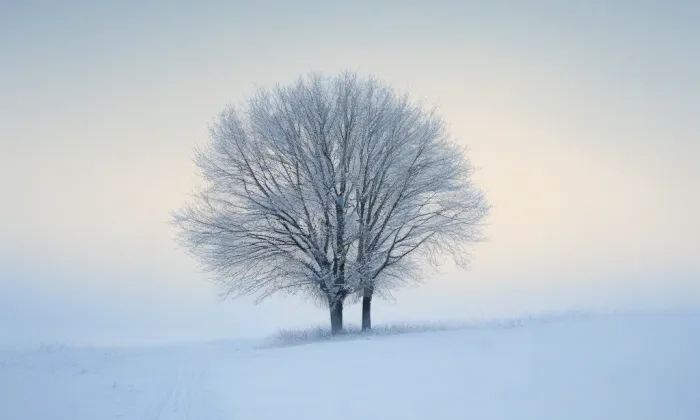 Kostel svatého Gotharda (Český Brod) – winter