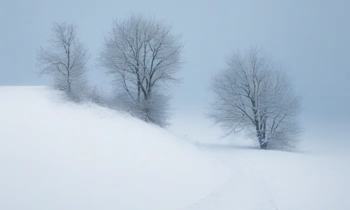 Kostel svatého Havla (Rožďalovice) – winter